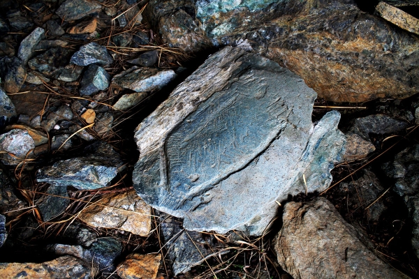 Biodiversità Valli di Lanzo - “Il Caprino delle rocce” Il caprino nato sotto le balme
